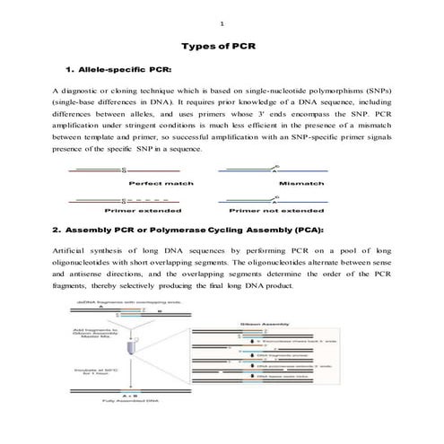 Different types of  PCR