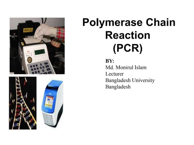 Types of PCR | PDF | Chemistry | Science