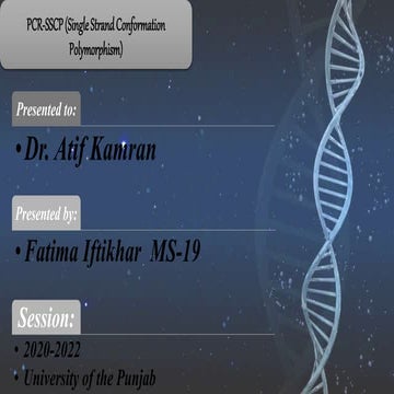 Pcr single strand conformation polymorphism