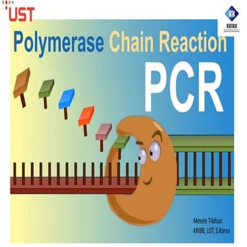 PCR and primer design techniques