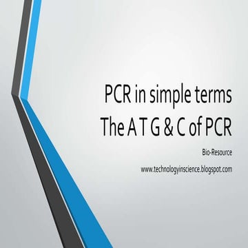 PCR explained in simple terms - A T G & C of PCR - Question and answers PCR
