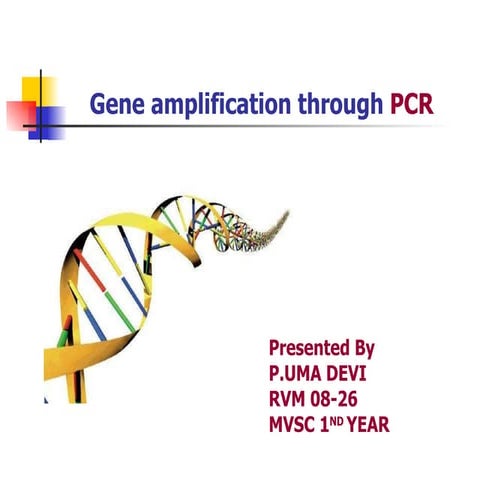 Pcr 