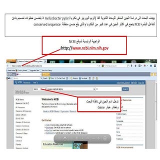 NCBI -Pcr primer design