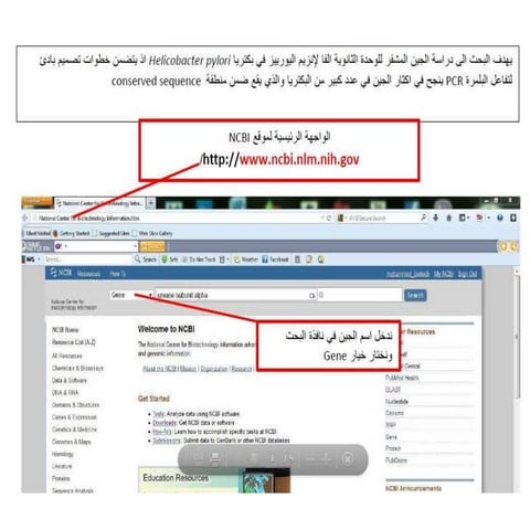 NCBI -Pcr primer design