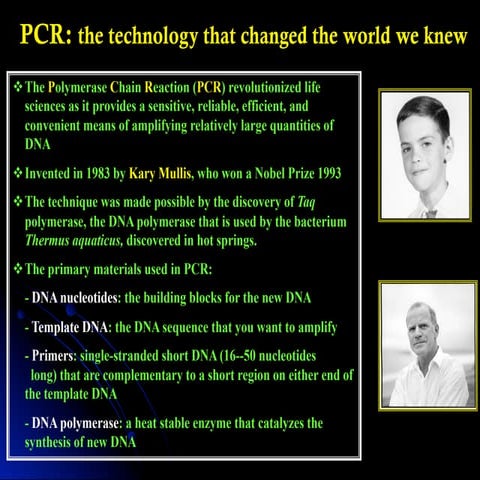 Pcr primer design