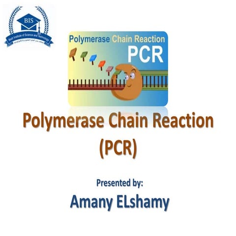 Pcr section amany_elshamy