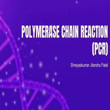 PCR - Polymerase Chain Reaction