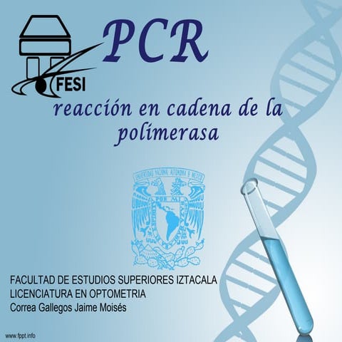  Reacción en cadena de la polimerasa (PCR)