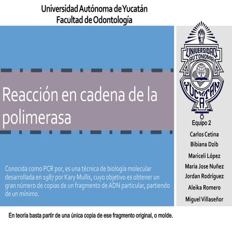 Reacción en cadena de la polimerasa