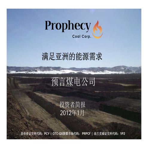 Pcy jan06 2011_website_chinese