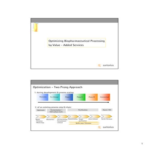 PDA Virtual Training Optimizing Processes 03 2006