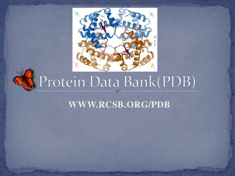 Protein Data Bank