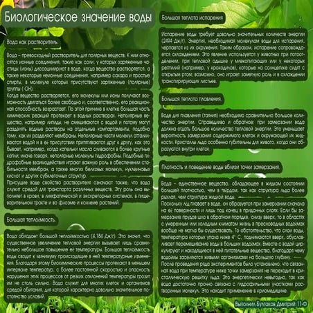 Биологическое значение воды