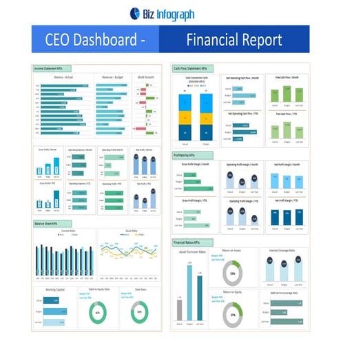 CEO Dashboard - Financial Report Dashboard | PDF
