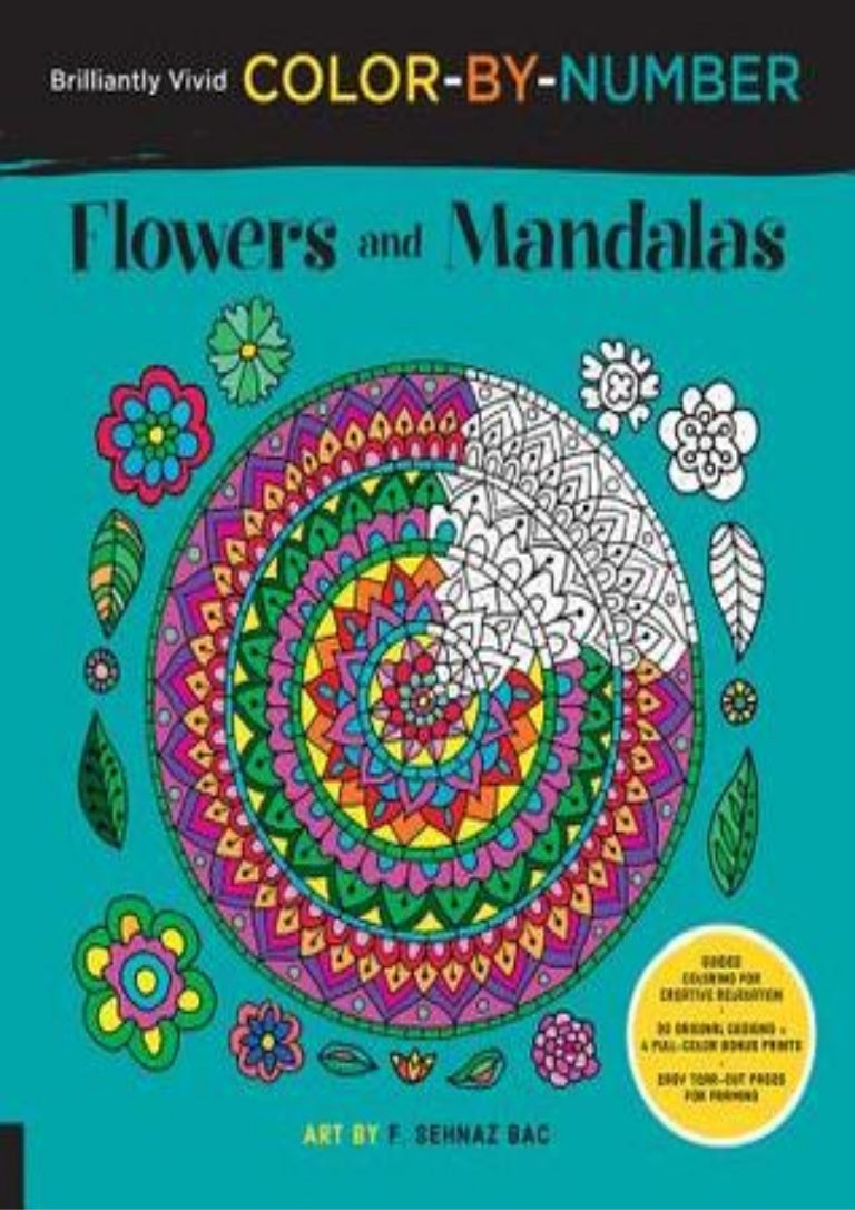 color by numbers flowers pdf color by numbers flowers pdf