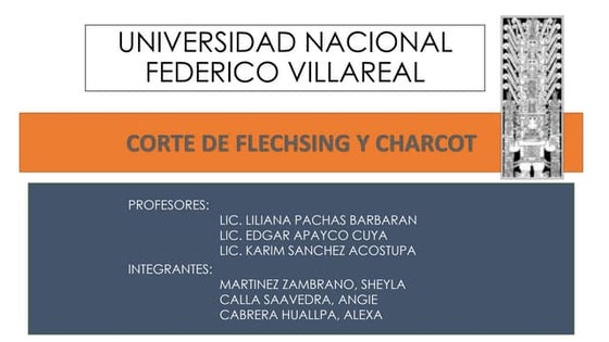 Laminas de la anatomia del corazón- Netter | PDF