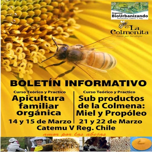 Pdf de taller apicultura marzo