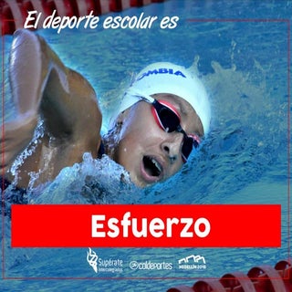 El esfuerzo es el camino hacia el É...