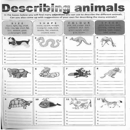 Adjectives: MInd Map