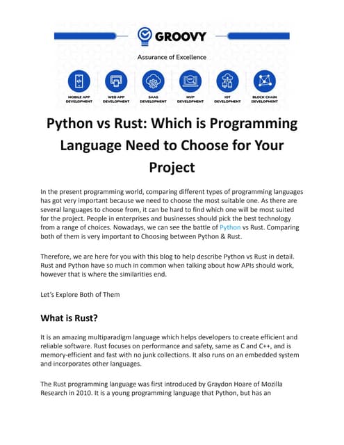 Python vs Rust_ Which is Programming Language Need to Choose for Your ...
