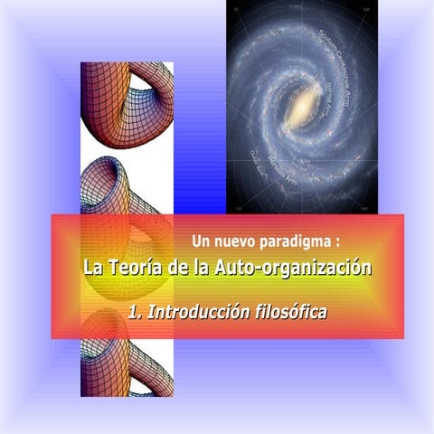 Presentación Seminario sobre Sistemas Auto-Organizados, 9-10-2017