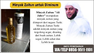 WA/TELP 0856-9511-1101 Jual minyak zaitun konsumsi, minyak zaitun ori