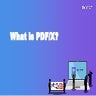 What is PDF/X? 