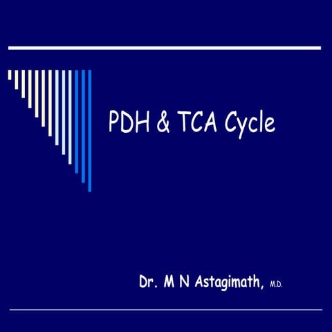Pyruvate Dehydrogenase and Tricarboxylic Acid Cycle - PDH and TCA