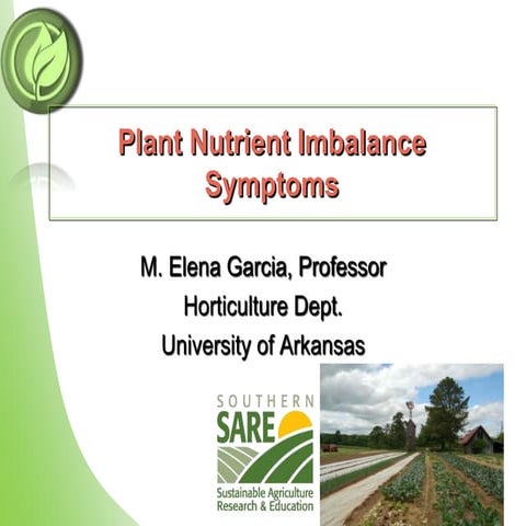 Plant Nutrient Imbalance Symptoms