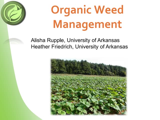 Practice weeding and cultivation | PPTX | Agriculture | Industries