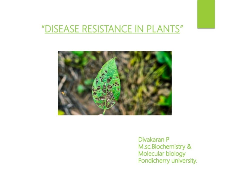 Disease resistance in plants