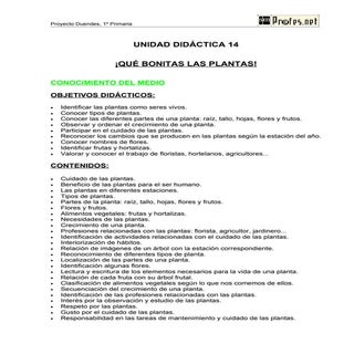 Unidad Didáctica-!Que bonitas las p...