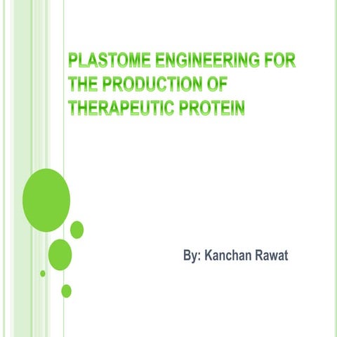 plastome engineering