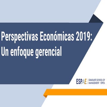 Perspectiva Económica: Un enfoque gerencial 2019