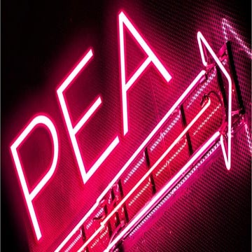 PEA comment ça marche ? Fonctionnement du Plan Épargne en Actions | PDF