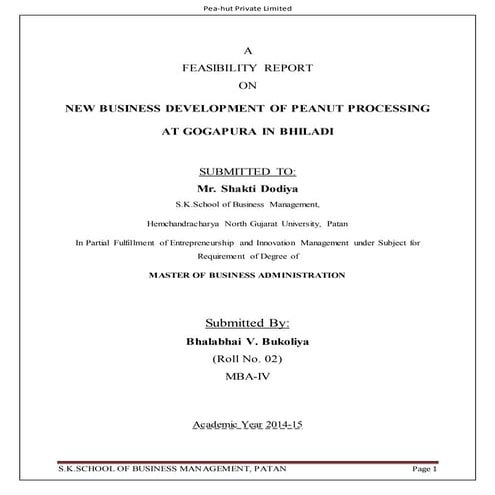 feasibility report on peanut processing