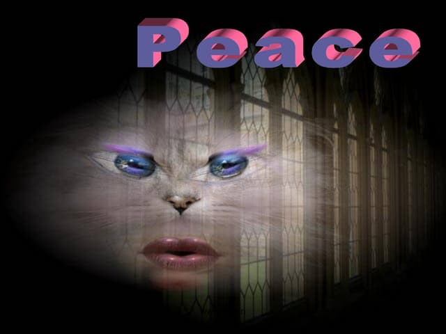Peace Now