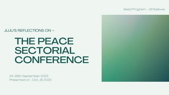Reflections on an ngo peace conference in zimbabwe