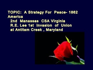 Peace strategy usa 1865_Robert E. Lee 