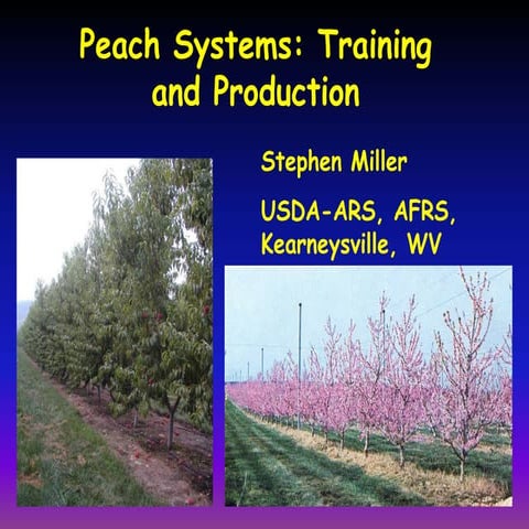 Peach system training