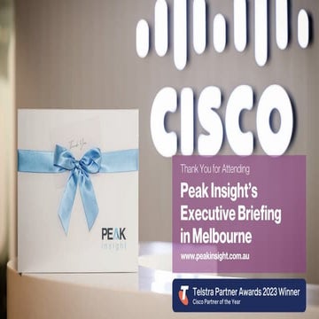 Peak Insight Executive Briefing - Customer Experience.pptx