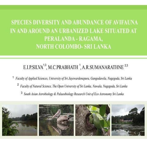 Species diversity and abundance of avifauna in and around an urbanized lake s...