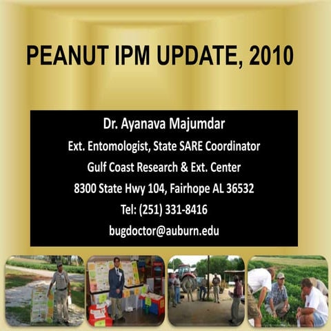 Peanut IPM Update   2010
