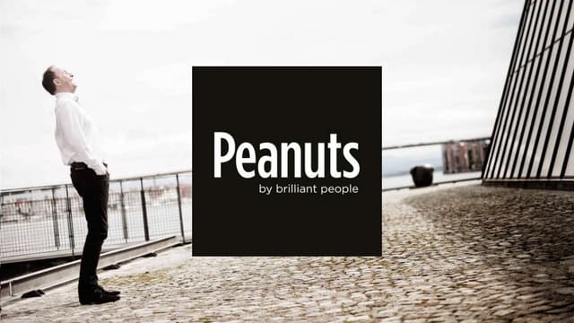 Peanuts story 