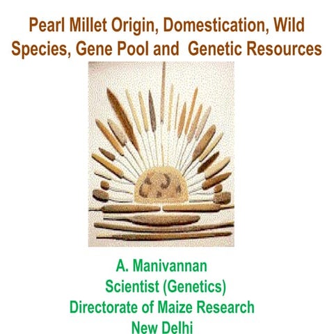 Pearl millet Origin, Domestication, Wild relatives, Gene Pool and Genetic Res...