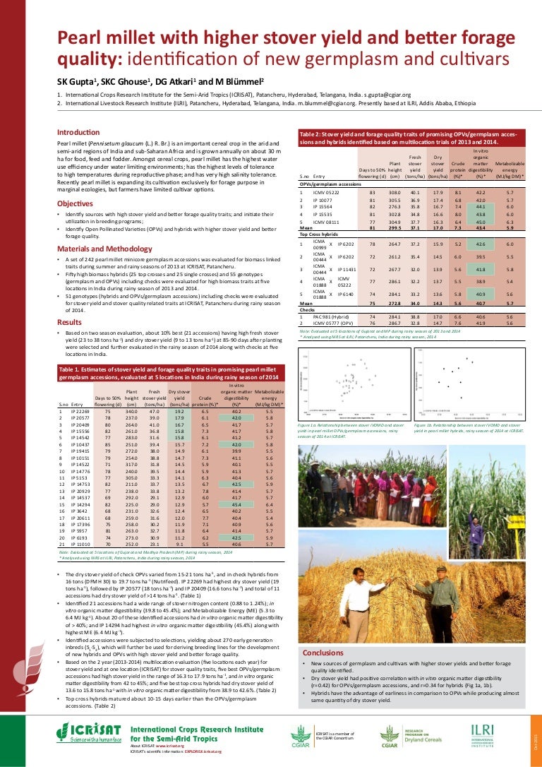 Pearl millet with higher stover yield and better forage quality iden…