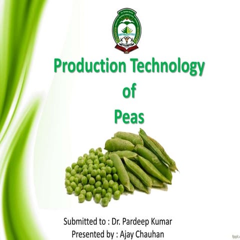 Peas by ajay