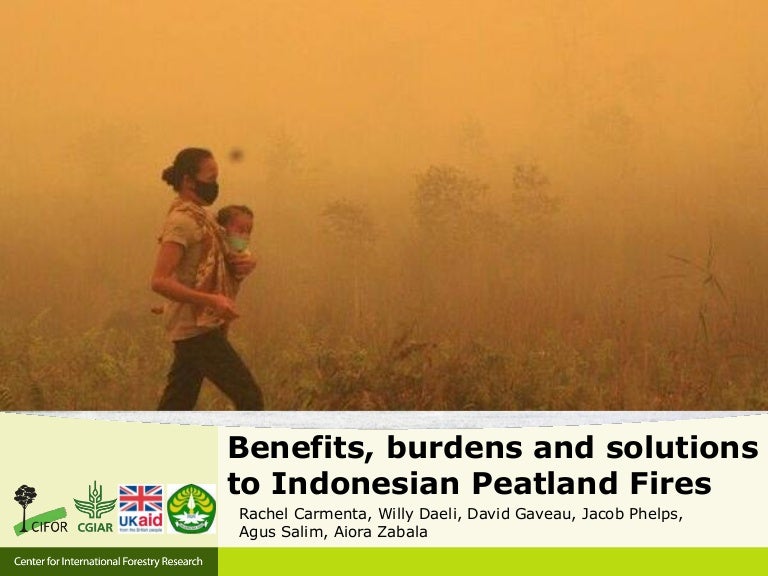 thumbnail of  Benefits, burdens and solutions to Indonesian Peatland Fires