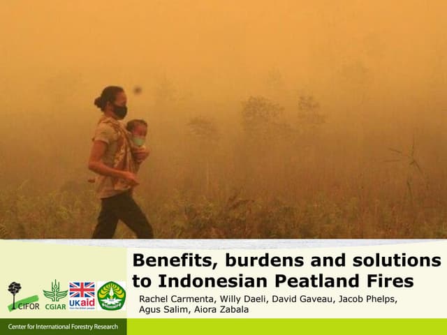 Benefits, burdens and solutions to Indonesian Peatland Fires