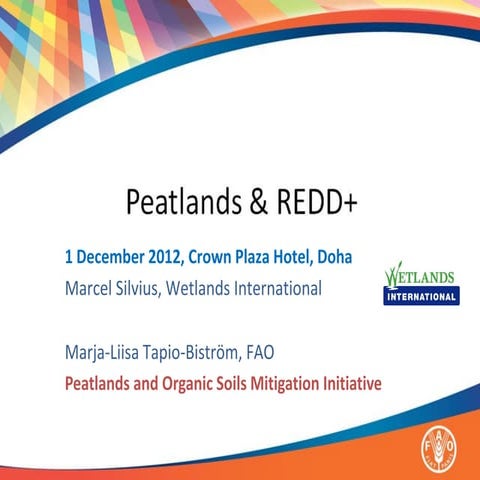 Peatlands and Redd+